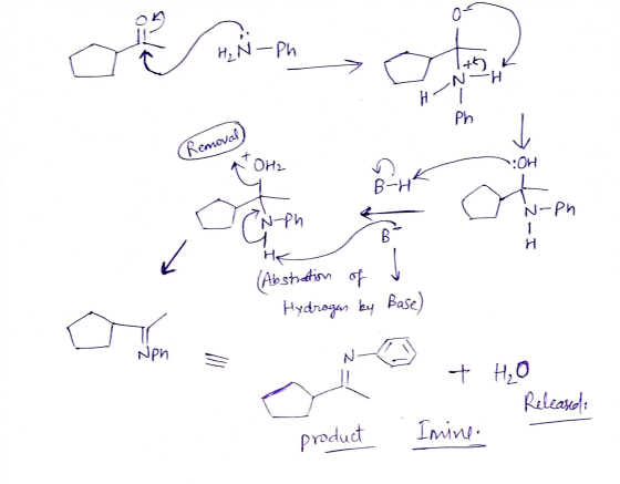 0 H₂N-ph too N H H- Ph. Removal t OH2 OH B-H oten CN-en B H > HE (Abstration of Hydrogas by Base) Nph + H2O Released: Imine.