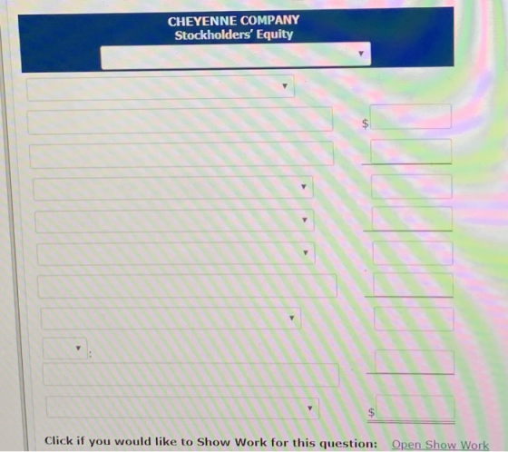 CHEYENNE COMPANY Stockholders Equity Click if you would like to Show Work for this question: Open Show Work