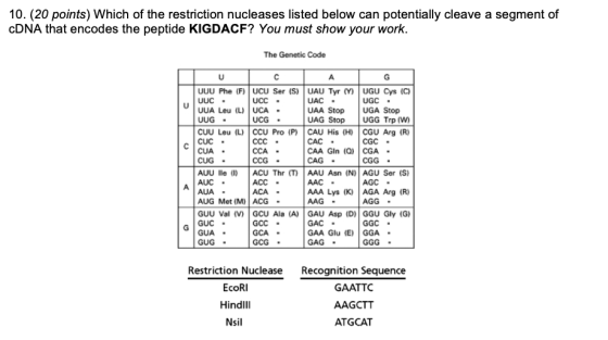 10. (20 points) Which of the restriction nucleases listed below can potentially cleave a segment of cDNA that encodes the pep