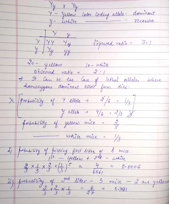 y- white miensin 2 311 ouehite enmozussus deminant allele dhie XMphe bability 0: 0006 656/ ellou 4.118 3