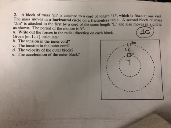 2. A block of mass m is attached to a cord of length L, which is fixed at one end. The mass moves in a horizontal circle on a frictionless table. A second block of mass 3m is attached to the first by a cord of the same length L and also moves in a circle, as shown. The period of the motion is t. a. Write out the forces in the radial direction on each block. Given [m, L, t] calculate: b. The tension in the inner cord? c. The tension in the outer cord? d. The velocity of the outer block? e. The acceleration of the outer block? 3m