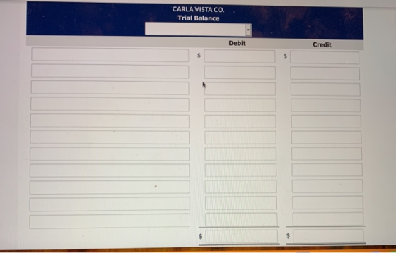 CARLA VISTA CO. Trial Balance Debit Credit $ $ $