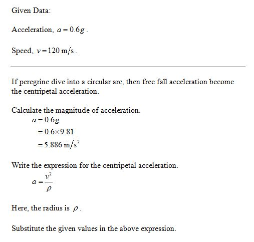 Given Data Acceleration, a 0.6g Speed, v 120 m/s If peregrine dive into a circular arc, then free fall acceleration become the centripetal acceleration Calculate the magnitude of acceleration. a 0.6g 0.6x9.81 - 5.886 m/s Write the expression for the centripetal acceleration v2 Here, the radius is ρ Substitute the given values in the above expression.
