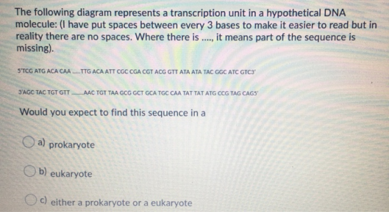 The following diagram represents a transcription unit in a hypothetical DNA molecule: (I have put spaces between every 3 base