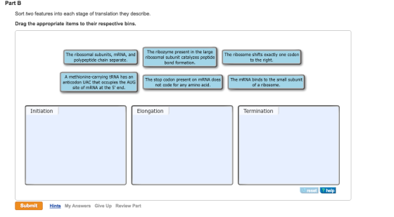 Sort two features into each stage of translation t