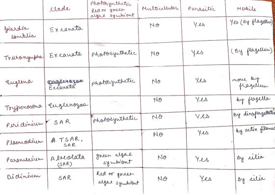 clade Photosynthetic Red or green algae symbiont Multicellular Parasitic Mobile NO Yes (By flagellow) yes Giardia lamblia Ex.