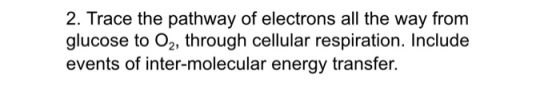 2. Trace the pathway of electrons all the way from glucose to O2, through cellular respiration. Include events of inter-molec