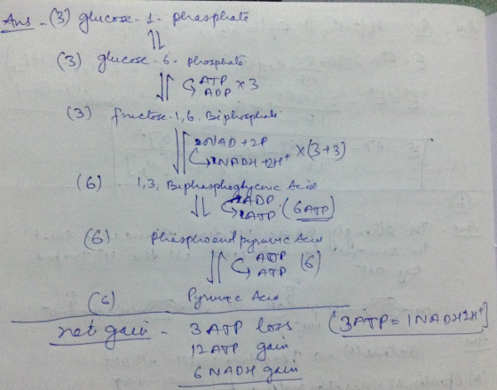 ATP 卍3 (61, p oe ATP Ca