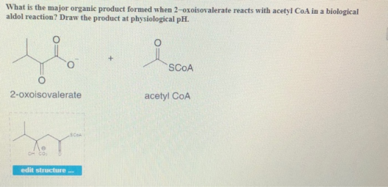 What is the major organic product formed when 2-oxoisovalerate reacts with acetyl CoA in a biological aldol reaction? Draw th