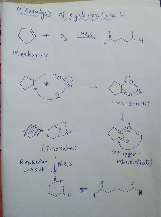 O Zomolysis of eyelo pentenes Mechanism (mala zonide) (Trionolane) (criegge Reductive mes intermediate) work up J