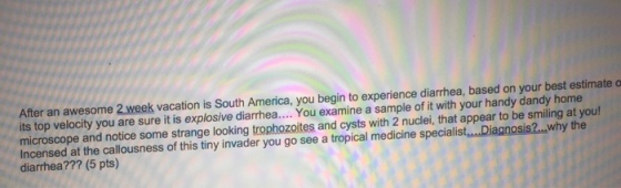 After an awesome 2 week vacation is South America, you begin to experience diarrhea, based on your best estimate o its top velocity you are sure it is explosive diarrhea.... You examine a sample of it with your handy dandy home microscope and notice some strange looking trophozoites and cysts with 2 nuclei, that appear to be smiling at you! Incensed at the callousness of this tiny invader you go see a tropical medicine specialist.... Diagnosis?..why the diarrhea??? (5 pts)