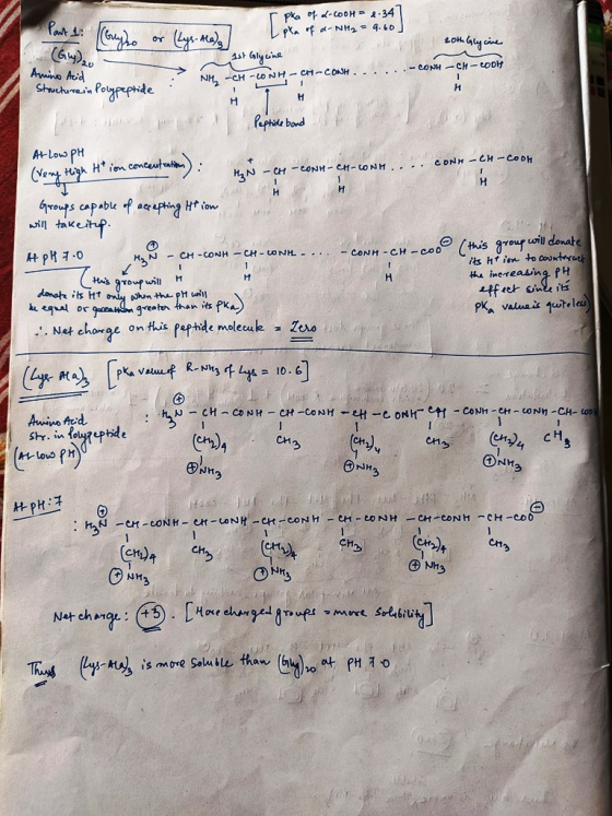 Part 1: (rude or (Lys- Ala), (Gly)₂0 Amino Acid Ipka of d-cool = 2.34] Ipka of d-NH₂ = 9.60] 20th Glycine 1st Glycine NH, “CH