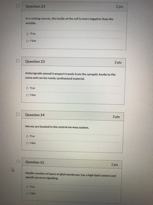 Question 22 2 pts In a resting neuron, the inside of the cell is more negative than the outside. O True O False Question 23 2