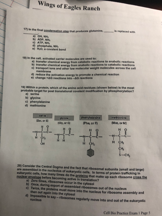 Wings of Eagles Ranch in the final condensation step that produces glutamine, mis replaced with a) OH, NH b) ADP, NH2 c) ATP,