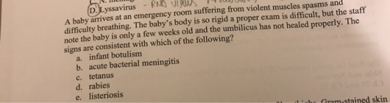 D. Lyssavirus-RUS VIRUS A baby arrives at an emergency room suffering from violent muscles spasms and difficulty breathing. T