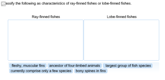 ssify the following as characteristics of ray-finned fishes or lobe-finned fishes. Ray-finned fishes Lobe-finned fishes flesh