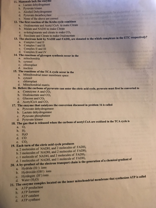 I1. Mammals lack the enzyme a. Lactate dehydrogenase b. Pyruvate kinase Alcohol Dehydrogenase c. d. Pyruvate decarboxylase None of the above are correct e. 12. The first reaction of the Krebs cycle combines Oxaloacetate and Acetyl CoA to make Citrate b. a. Malate and NADH to make Citrate a-ketoglutarate and citrate to make CO2 d. c- Succinate and Citrate to make Oxaloacetate 13. The electrons held by NADH and FADH, are donated to the which complexes in the ETC respectively? a. Complex I and II b. Complex I and 111 c. Complex II and III d. Complex II and IV 14. The reactions of glycogen synthesis occur in the a. mitochondria b. cytosol c. chloroplast d. nucleus 15. The reactions of the TCA cycle occur in the a. Mitochondrial inner membrane space b. cytosol c. chloroplast d. Mitochondrial matrix 16. Before the carbons of pyruvate can enter the citric acid cycle, pyruvate must first be converted to a. Coenzyme A and CO b. Oxaloacetate and CO c. Glucose and CO d. AcetylCoA and CO 17. The enzyme that catalyzes the conversion discussed in problem 16 is called a. Pyruvate dehydrogenase b. Lactate dehydrogenase c. Pyruvate phosphatase d. Pyruvate kinase 18. The gas that is released when the carbons of acetyl CoA are oxidized in the TCA cycle is с.H2O d. CO e. CO2 19. Each turn of the citrie acid cycle produces a. 2 molecules of NADH, and 2 molecules of FADH, b. 3 molecules of NADH, and 2 molecules of FADH c. I molecule of NADH, and 3 molecules of FADH d. 3 molecules of NADH, and I molecule of FADH 20. A by-product of the electron transport chain is the generation of a chemical gradient of a. Hydride (H:) ions b. Hydroxide (OH) ions c. Hyrdogen (H) ions d. Water (H,O) 21. The enzyme complex located on the inner mitochondrial membrane that synthesizes ATP is called a. ATP productase b. ATP formase c. ATP catalase d. ATP synthase