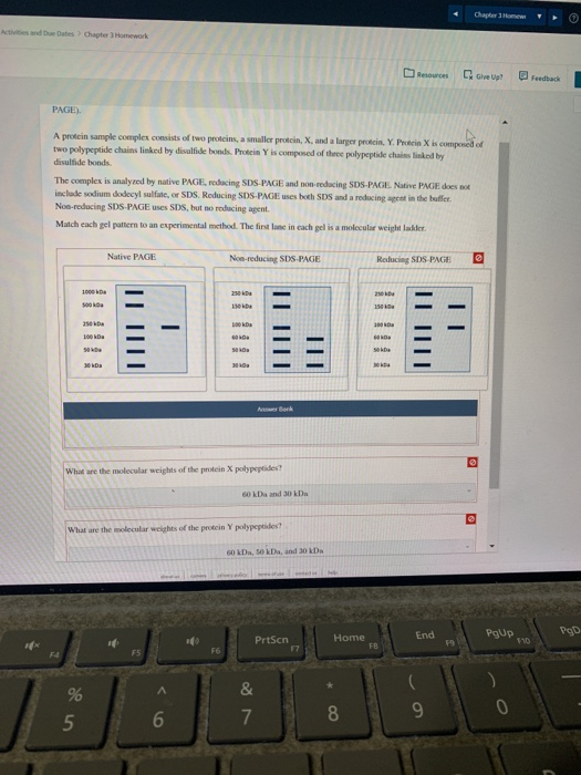 Chapter 3 Home Active and Due Dates Chapter Homework Resouros Ghve Up! Feedback PAGE A protein sample complex consists of two