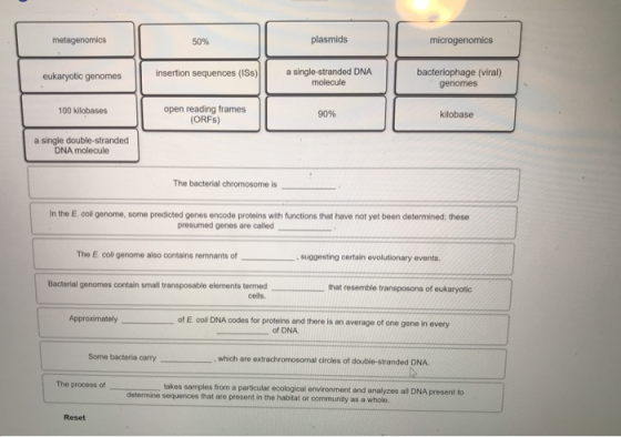 metagenomics metagenomics 50% 50% plasmids microgenomics eukaryotic genomes insertion sequences (ISS) a single-stranded DNA m