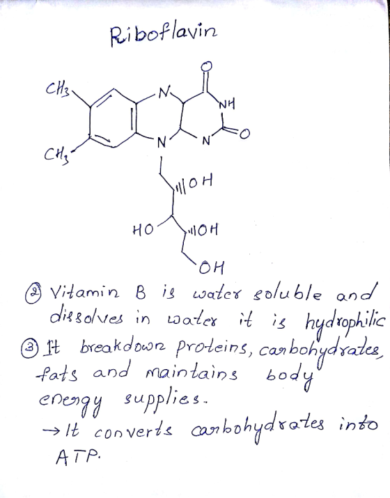 Riboflavin CHAN ann CH3- 케애 HOOH OH ② Vitamin B is water soluble and dissolves in water it is hydrophilic It breakdown protei