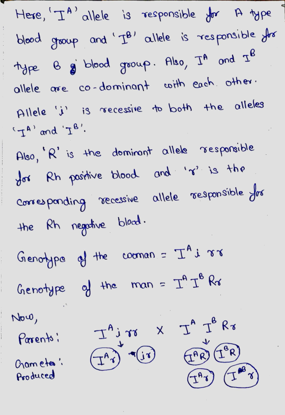 Here, It allele is responsible for A type blood group and IB allele is responsible for type B g blood group. Also, IA and