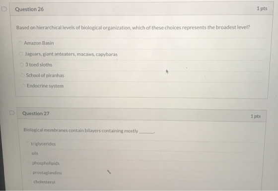 Question 26 1 pts Based on hierarchical levels of biological organization, which of these choices represents the broadest lev