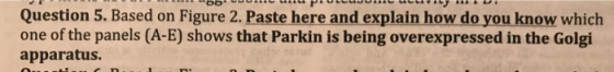 Question 5. Based on Figure 2. Paste here and explain how do you know which one of the panels (A-E) shows that Parkin is bein