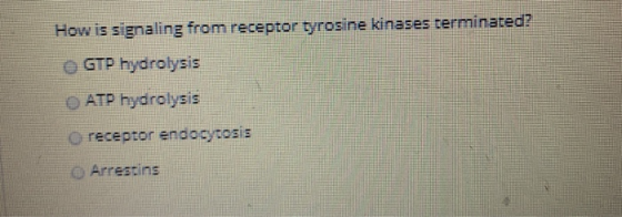 How is signaling from receptor tyrosine kinases terminated? GTP hydrolysis ATP hydrolysis receptor endocytosis Arrestins
