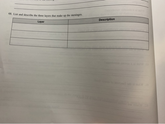 08. List and describe the three lavers that make up the meninges. Description Layer