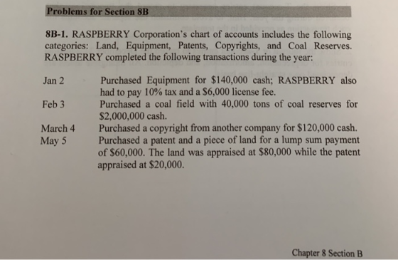 Problems for Section 8B 8B-1. RASPBERRY Corporations chart of accounts includes the following categories: Land, Equipment, P