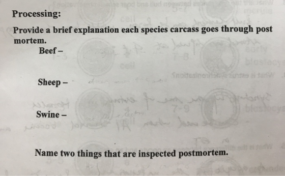 Processing: Provide a brief explanation each species carcass goes through post mortem. Beef - Sheep - Swine - Name two things