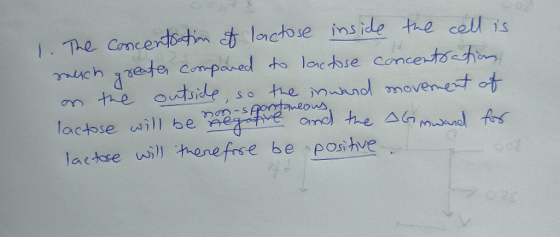 1. The concentration of lactose inside the cell is much greater compared to lactose concentration on the outside, so the inwa