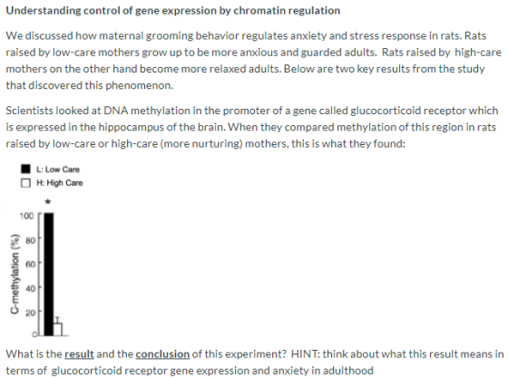 Understanding control of gene expression by chromatin regulation We discussed how maternal grooming behavior regulates anxiet