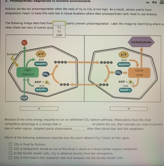 5. Photosynthetic adaptations to extreme environments Aa Aa Rubisco carries out photorespiration when the ratio of O2 to CO2