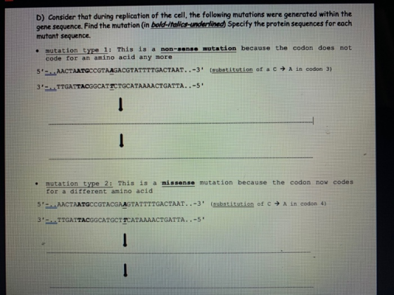 D) Consider that during replication of the cell. the following mutations were generated within the gene sequence. Find the mu