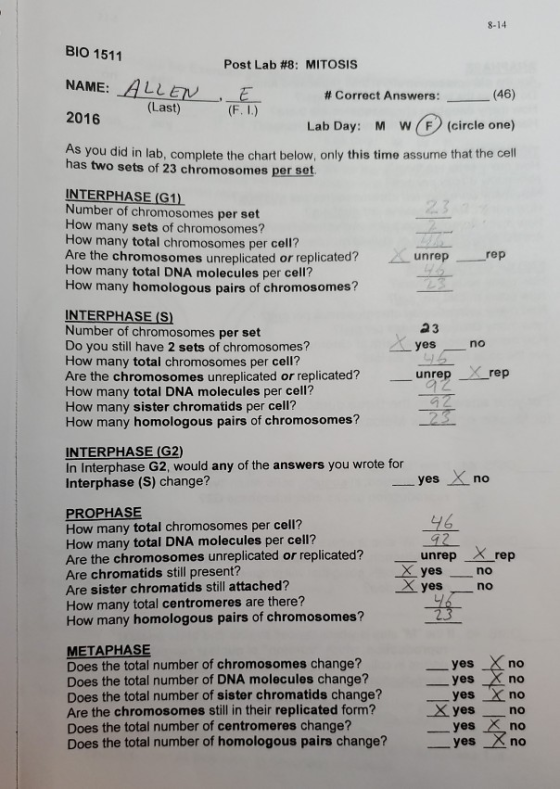 8-14 BIO 1511 Post Lab #8: MITOSIS NAME: ALLEN (Last) 2016 # Correct Answers: (46) (F. I.) Lab Day: MWF (circle one) As you d