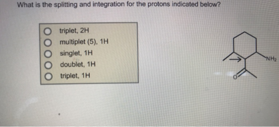 What is the splitting and integration for the protons indicated below? triplet, 2H multiplet (5), 1H singlet, 1H doublet, 1H