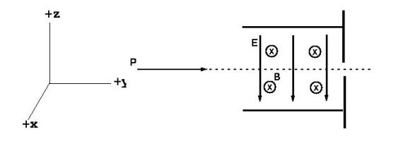 차 - - - - - - - - - - - - - - - - - - - - Z+