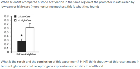 When scientists compared histone acetylation in the same region of the promoter in rats raised by low-care or high-care (more