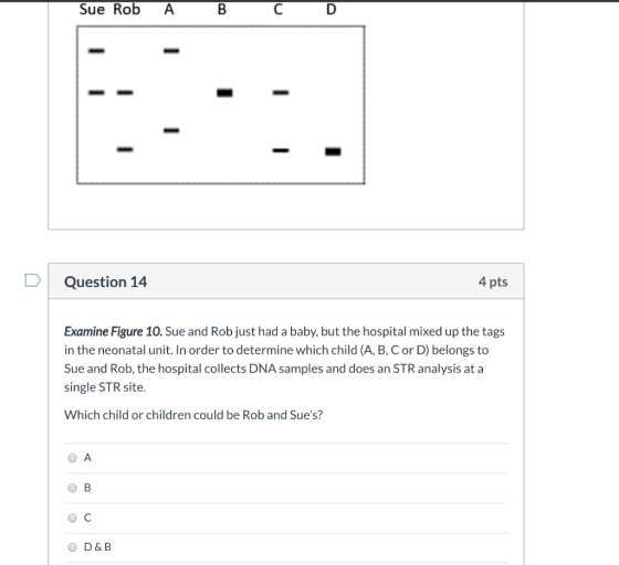Sue Rob A B C D Question 14 4 pts Examine Figure 10. Sue and Rob just had a baby, but the hospital mixed up the tags in the n