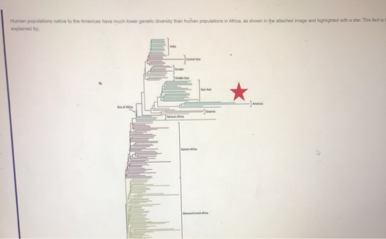 Human populations native to the Americas have much lower genetic diversity than human populations in Africa, as shown in the
