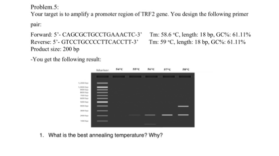 Problem.5: Your target is to amplify a promoter region of TRF2 gene. You design the following primer pair: Forward: 5- CAGCG