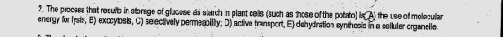 2. The process that results in storage of glucose as starch in plant ce energy forlysis, B) exocytosis, C) selectively permeability, D) active transport, E) dehydration synthesis in a cellular organelle. ls such as those of the poato)) the use of molecular