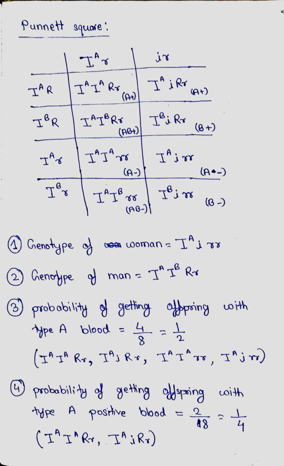 Punnett square : 1 ayar ir IAR I IAIA Ro J IA i Rr (A+) -ta TB i Rr (B+) IBR IAIⓇRO J (AB+) TAG I IATA | IA irr (A-) . (A*_)
