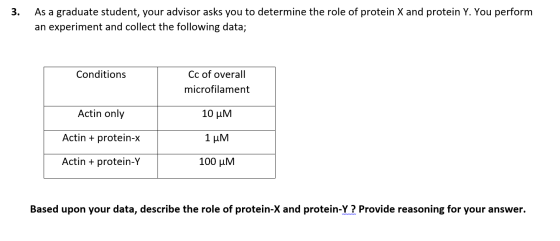 3. As a graduate student, your advisor asks you to determine the role of protein X and protein Y. You perform an experiment a