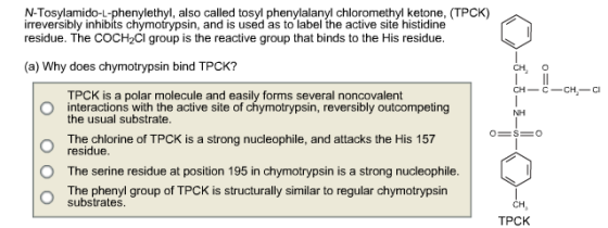 N-Tosylamido-L-phenylethyl, also called tosyl phen