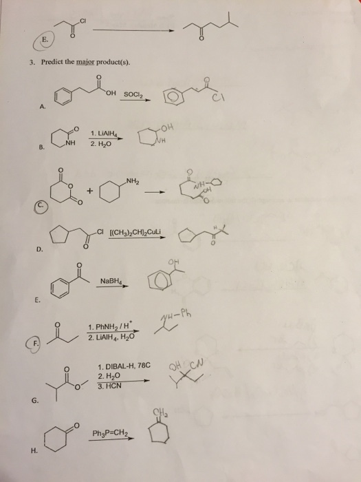 Need these checked, and help with the circled ones