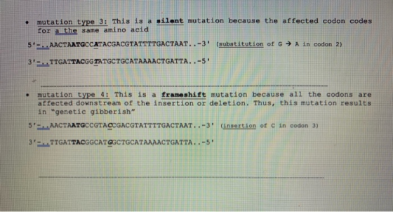 mutation type 3: This is a silent mutation because the affected codon codes for a the same amino acid 5- ... AACTAATGCCATACG