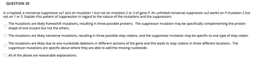 QUESTION 20 In a haploid, a nonsense suppressor su1 acts on mutation 1 but not on mutation 2 or 3 of gene P. An unlinked nons