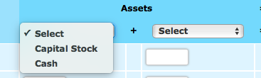 Assets + Select ✓ Select Capital Stock Cash